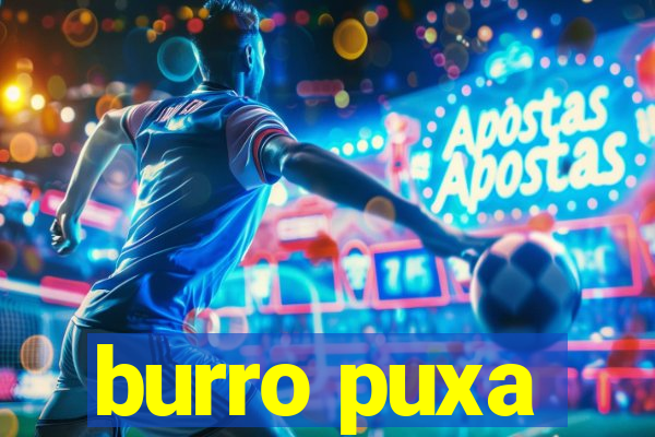 burro puxa